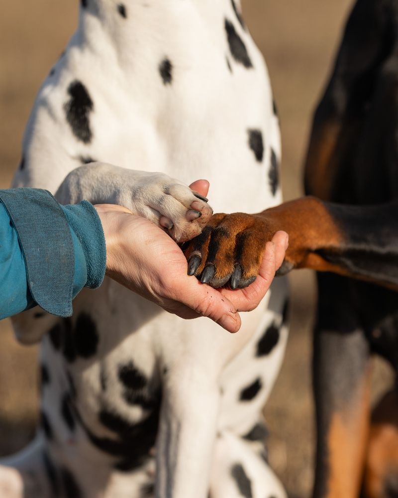 Photograph by Наталья Кирина