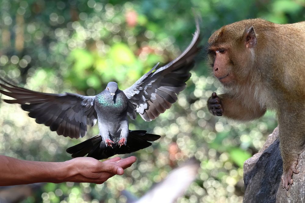 Очередь за угощениями:)