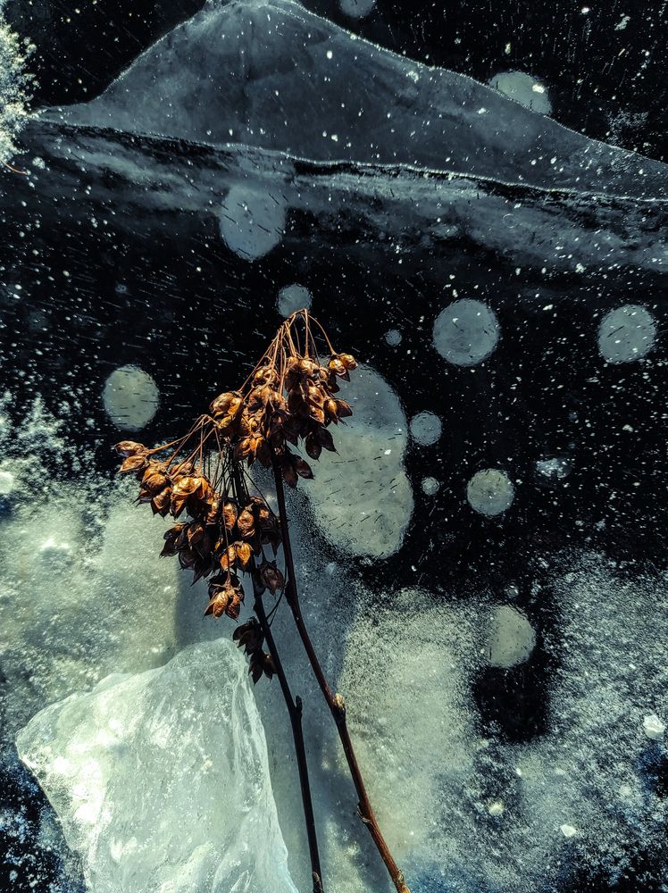 Photograph by Евгений Колтунов