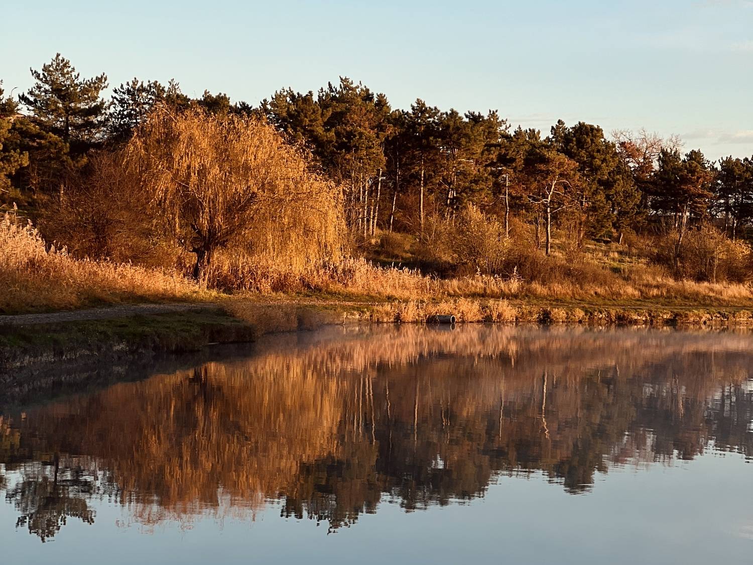 Золотое зеркало