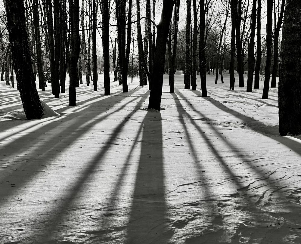 Photograph by Игорь Лобанов