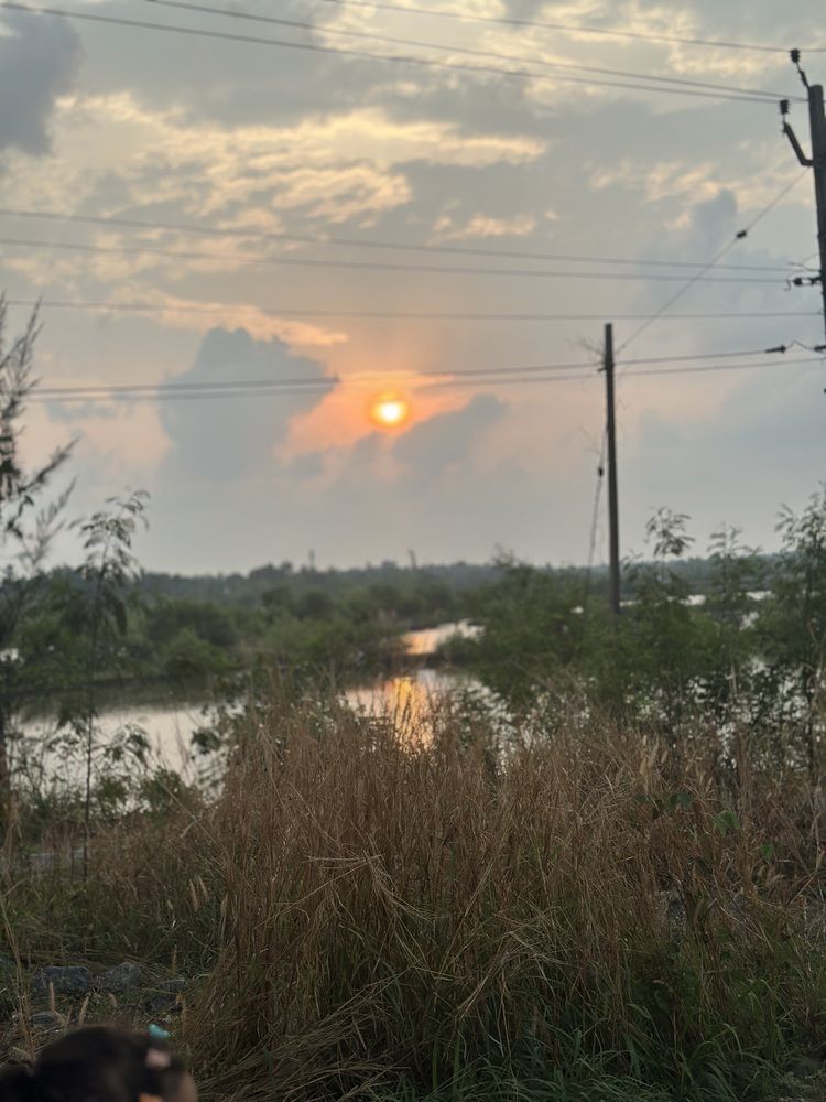 Photograph by MUHAMMED CP