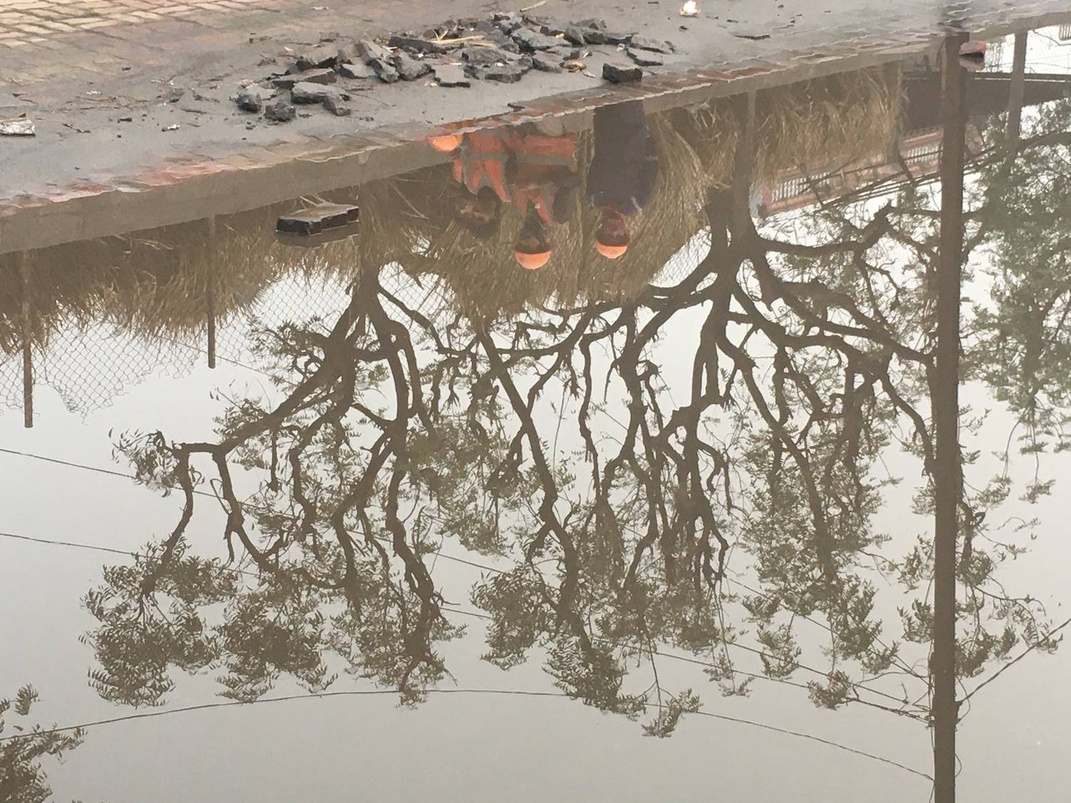 reflection of life reflection of life