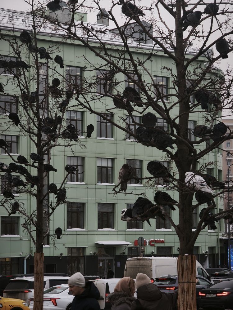 Photograph by Светлана Рубникович