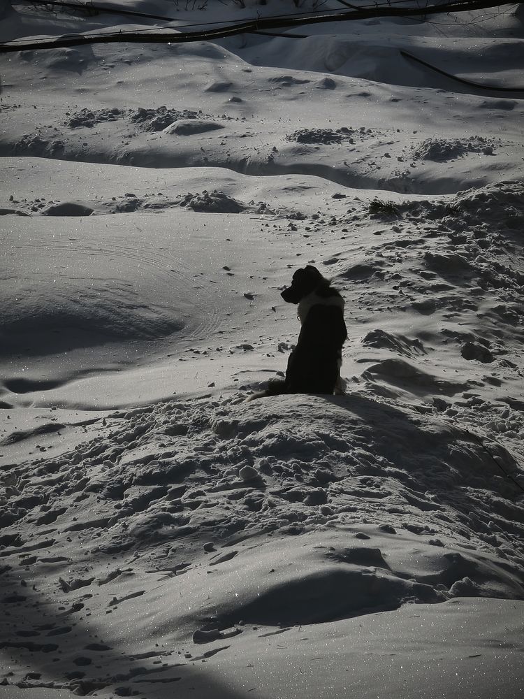Photograph by Светлана Рубникович