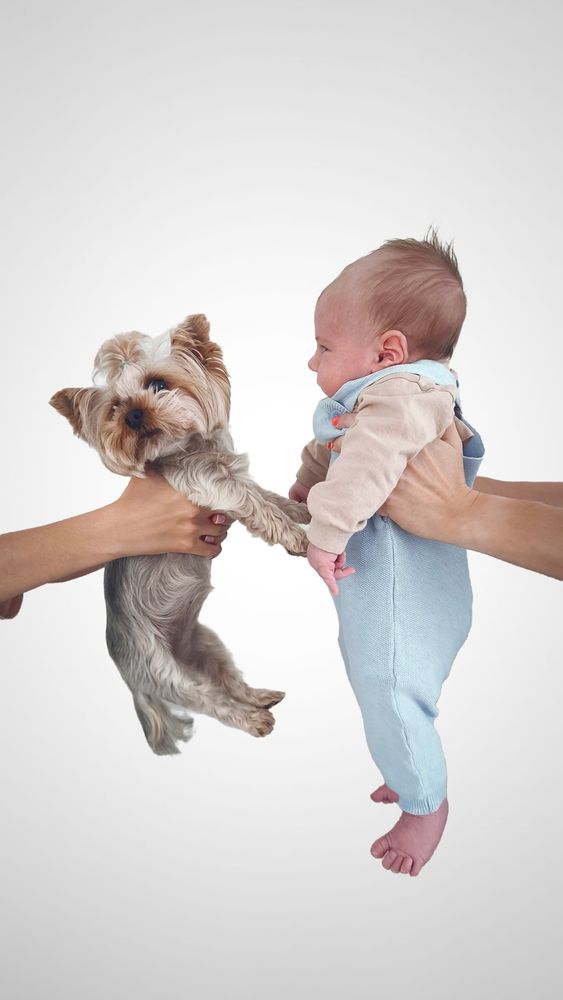 Photograph by Юлия Бурминская