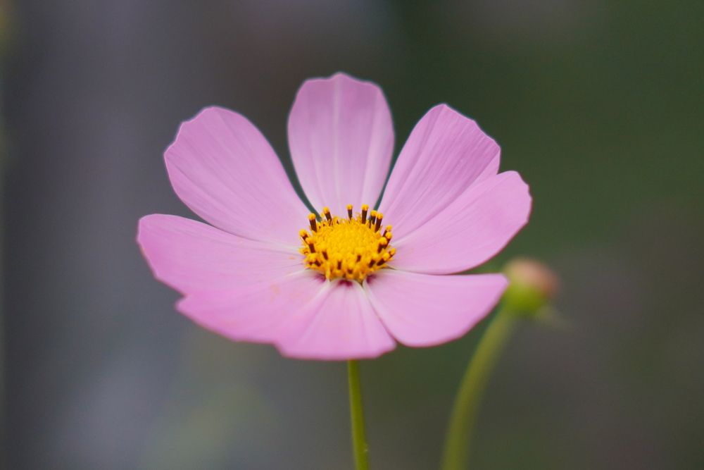 Photograph by Даниил Гордеев