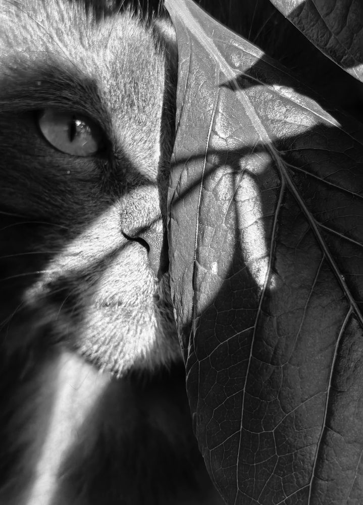 Photograph by Анна Якубинас