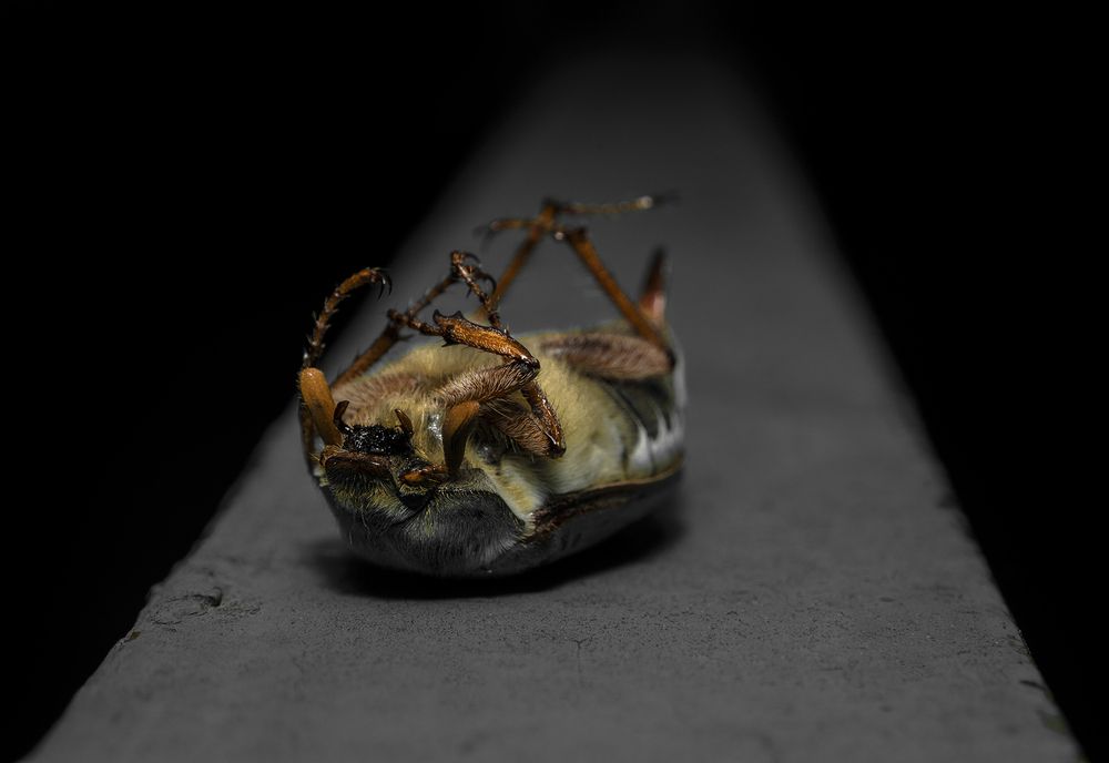 Photograph by Дмитрий Матвеев