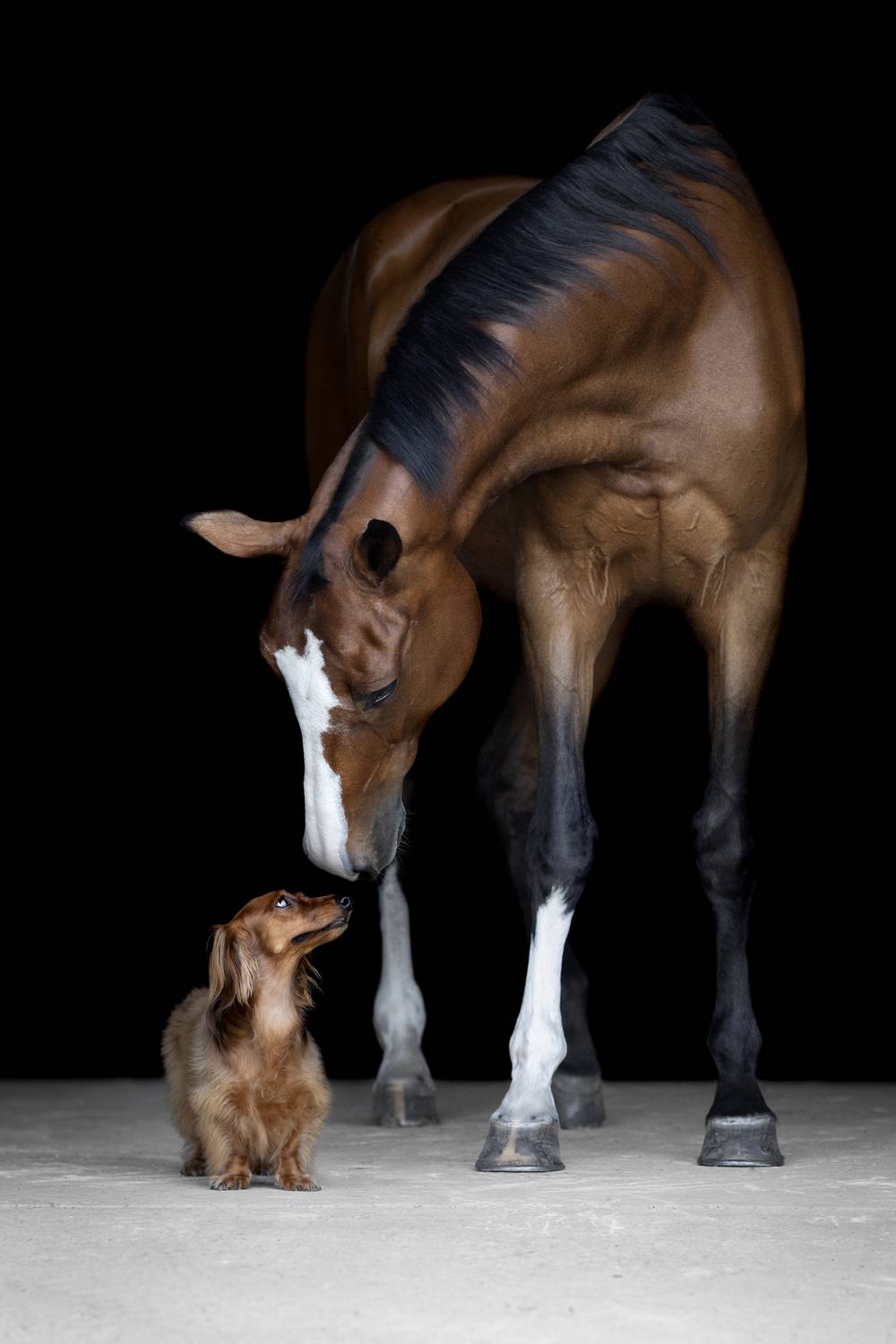 Фотография #13294300