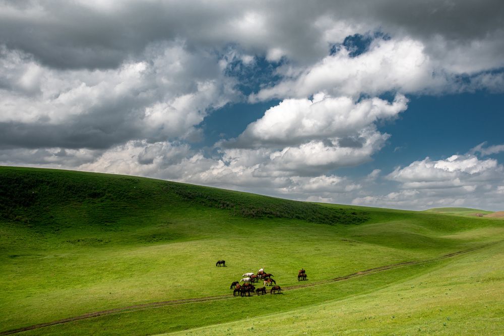 Photograph by Василий Шумкин