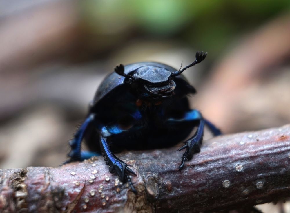 Photograph by Лена Максимкина