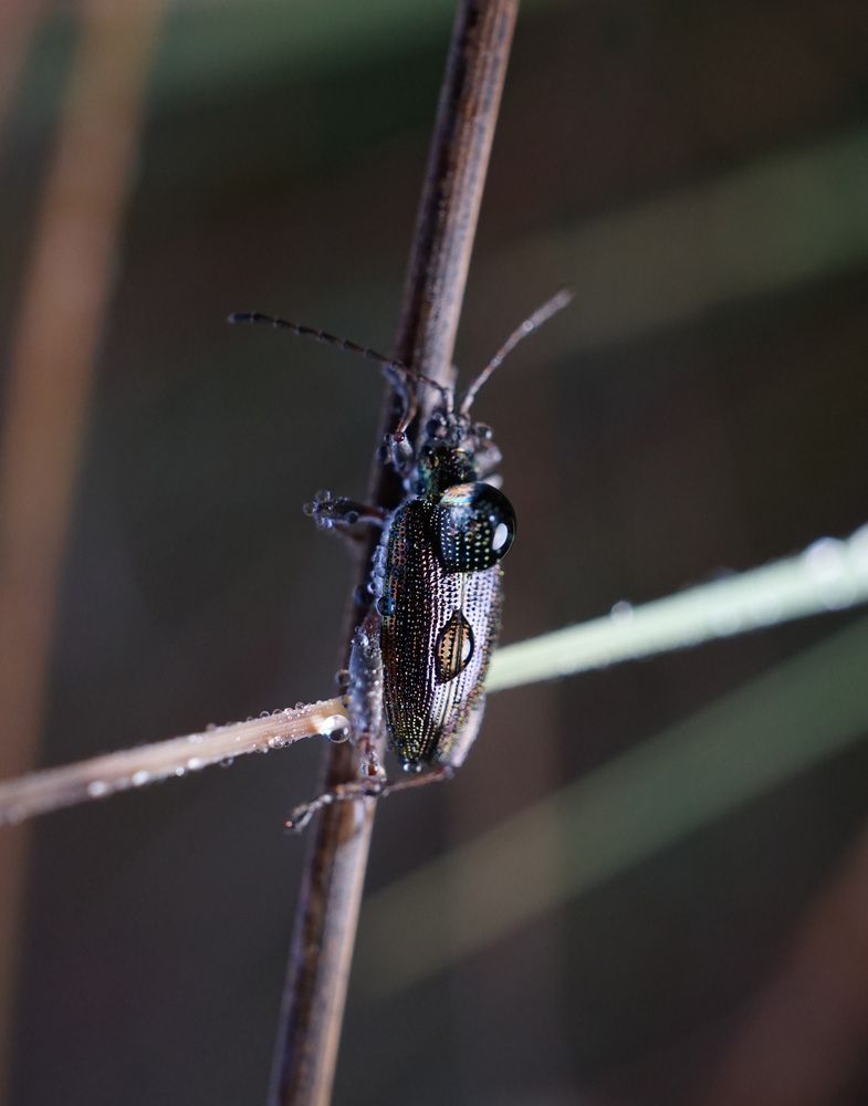 Photograph by Лена Максимкина