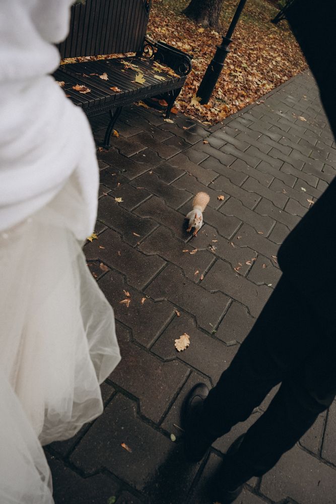 Photograph by Evgenia