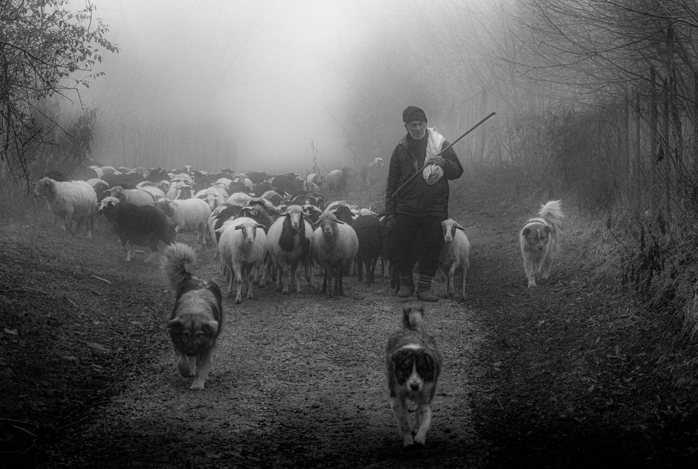 Фотография автора Mostafa Mohammad Beigi