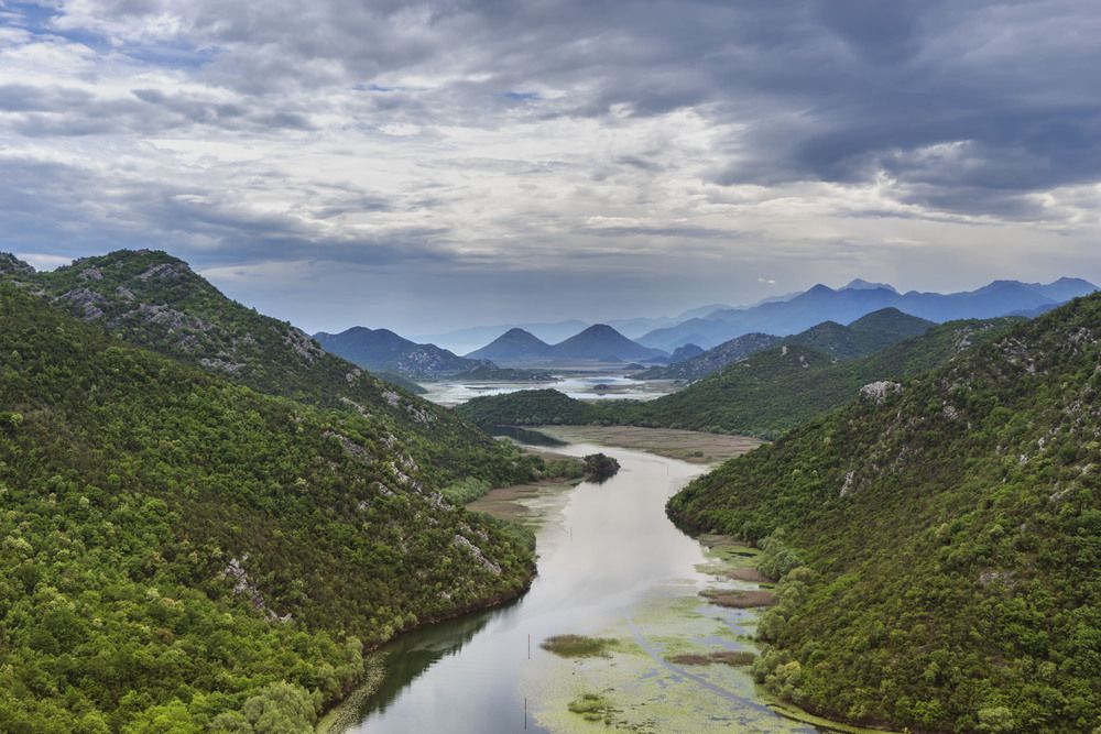 Фотография автора Солодар Виктория