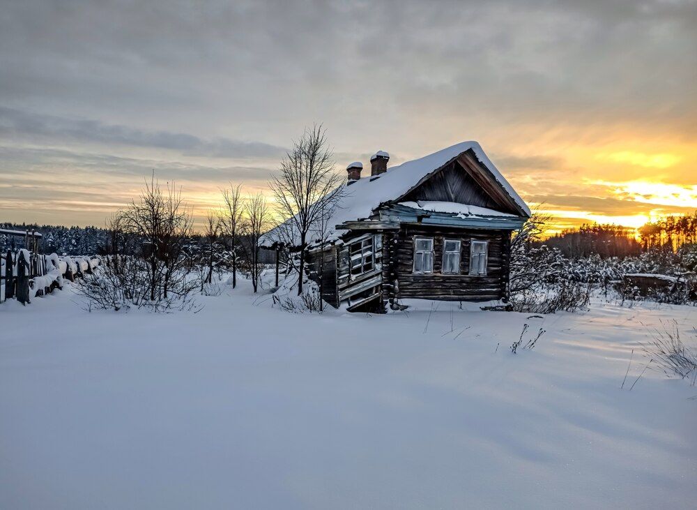 Photograph by Алёна Пшеленская