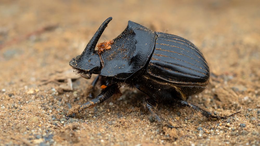 Photograph by Eduardo Muñoz