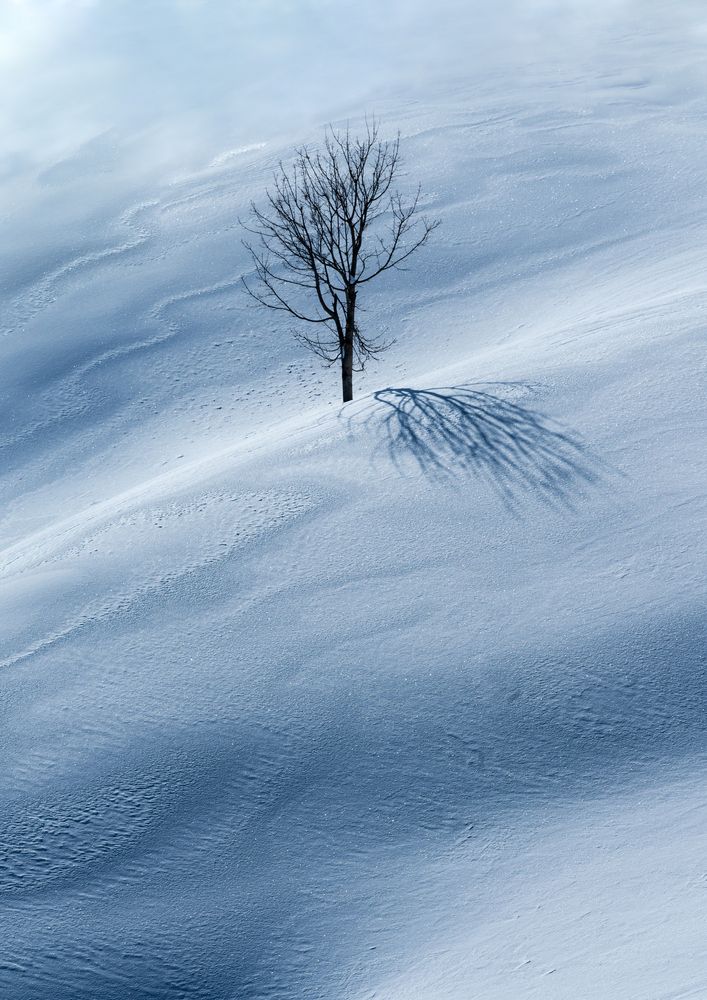 Photograph by Одинцов Валерий