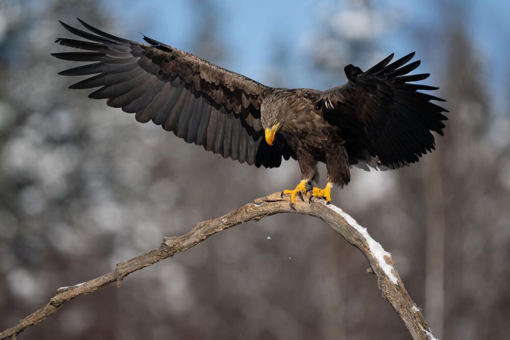 Photograph by Александр Белов