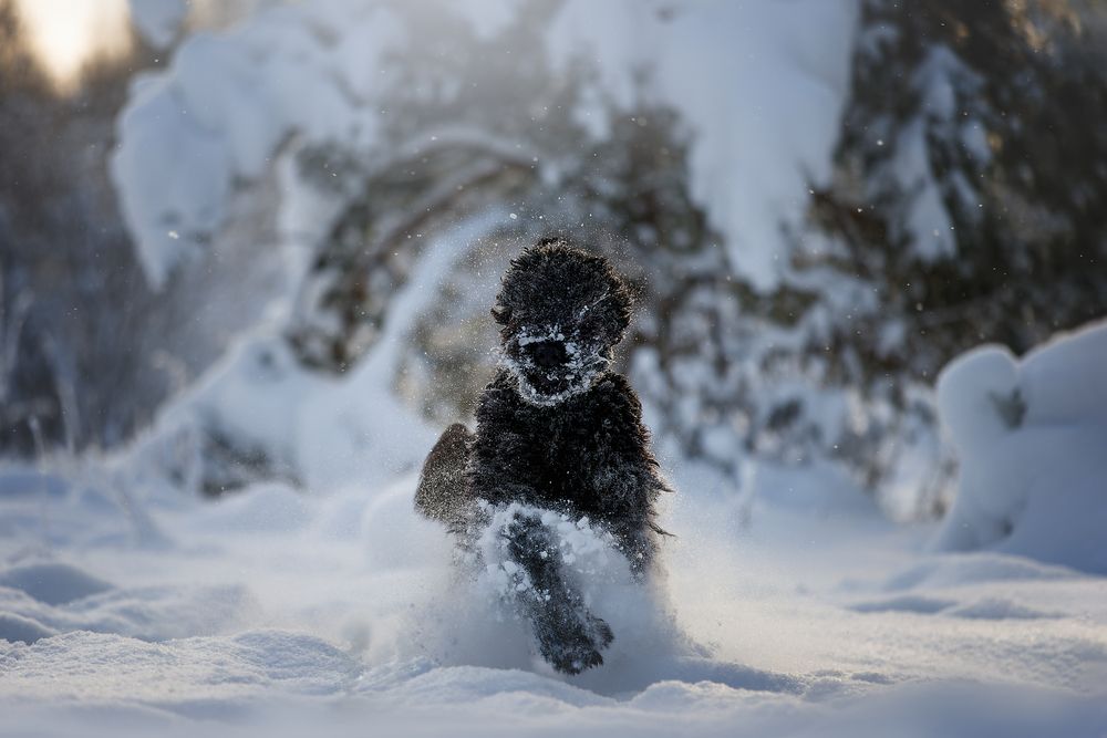 Photograph by Ирина Шестакова