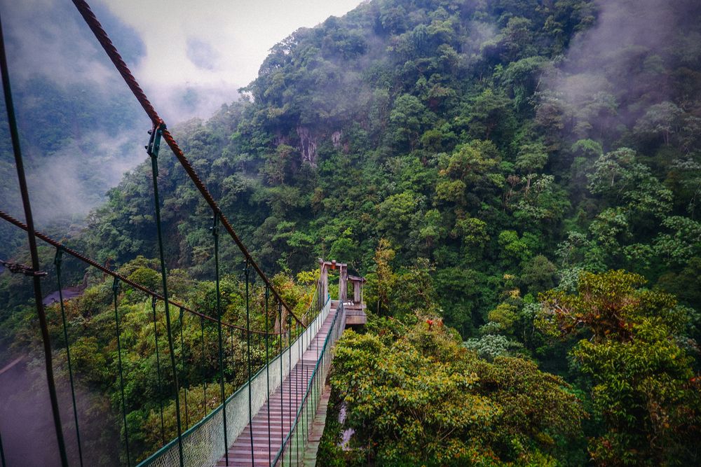 Photograph by Angela