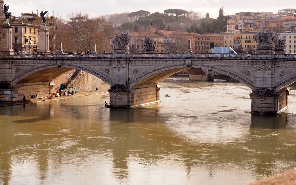 Фотография автора Tatyana Markova