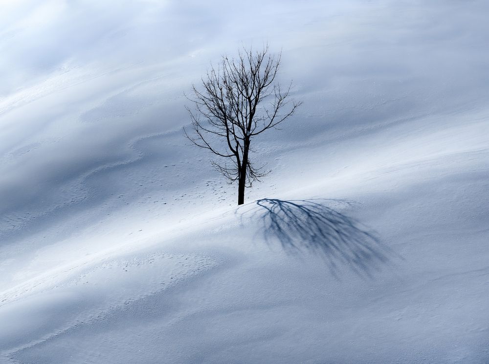 Photograph by Одинцов Валерий