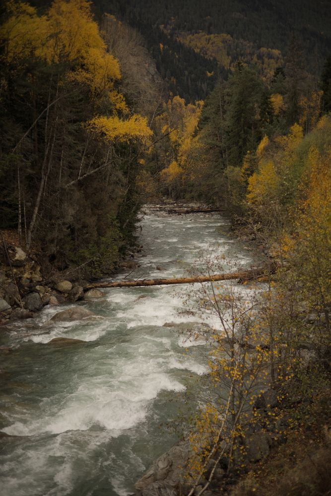 Photograph by Жанна Чепурнова