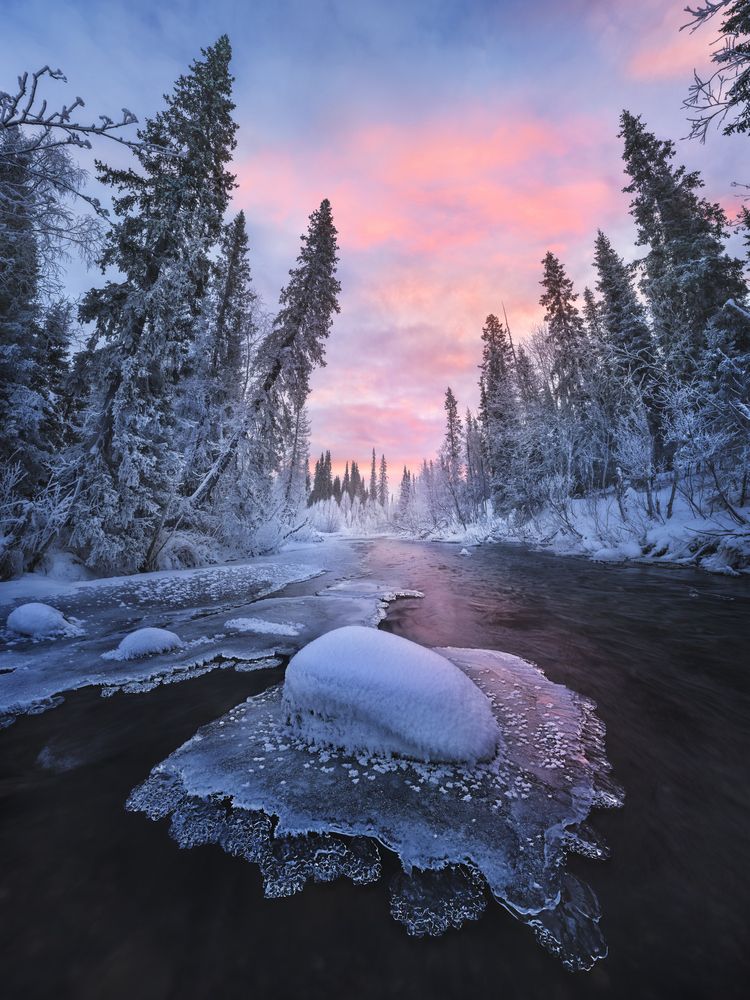 Photograph by Natalia Zakharova
