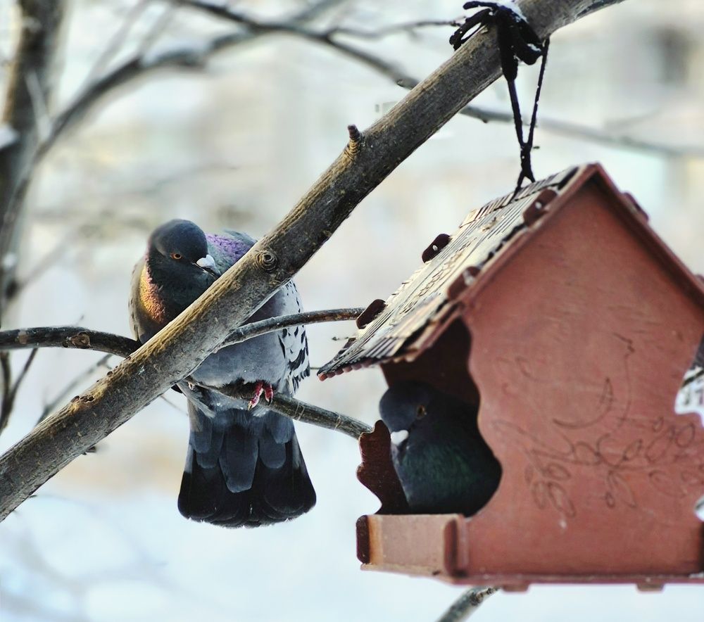 Photograph by Валентина Кузьменко