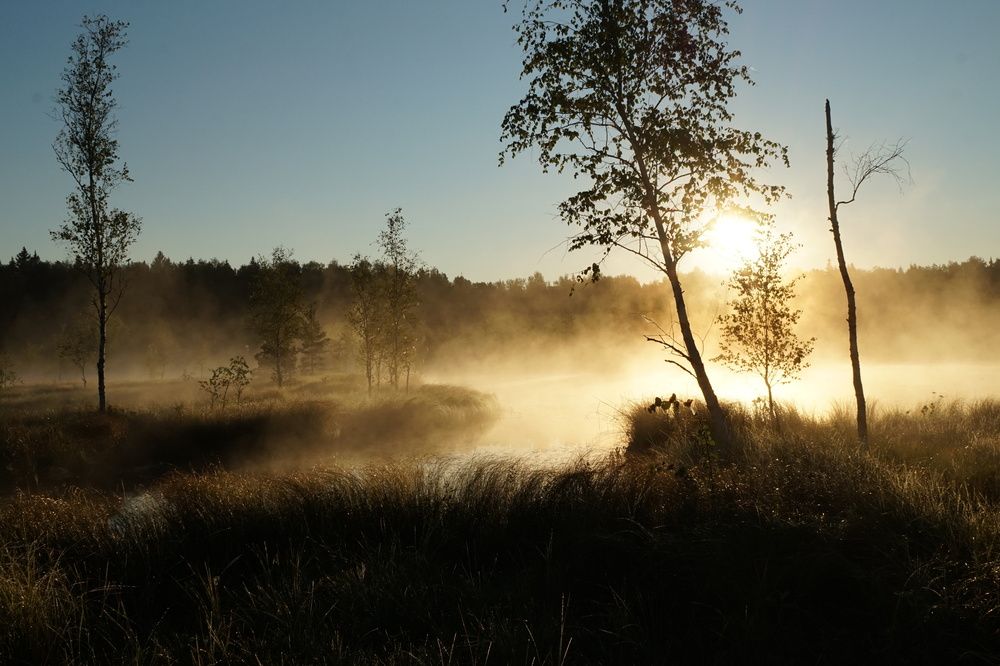 Photograph by Лена Максимкина