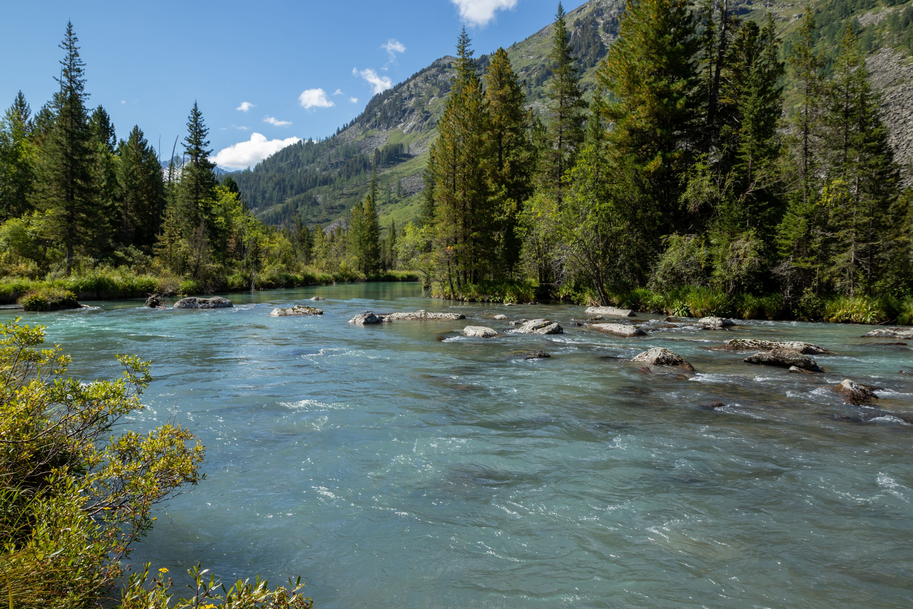 Photograph by Светлана Тараканова