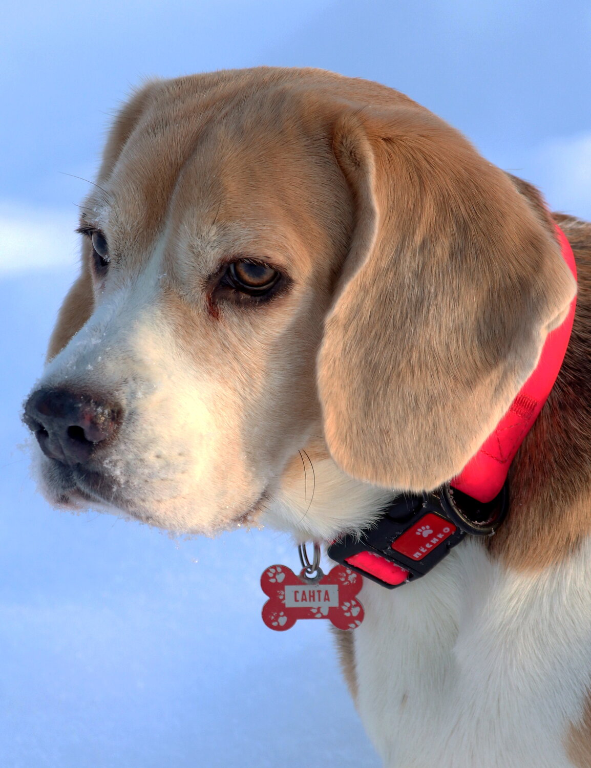 Photo #13294849