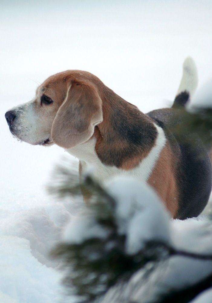 Photo #13294850