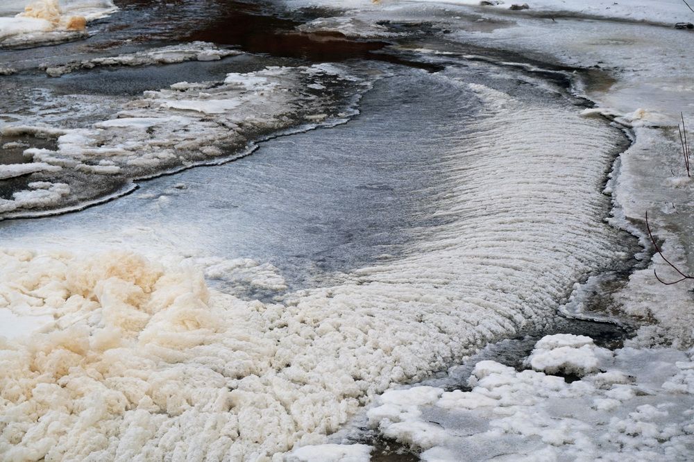 Photograph by Лена Максимкина