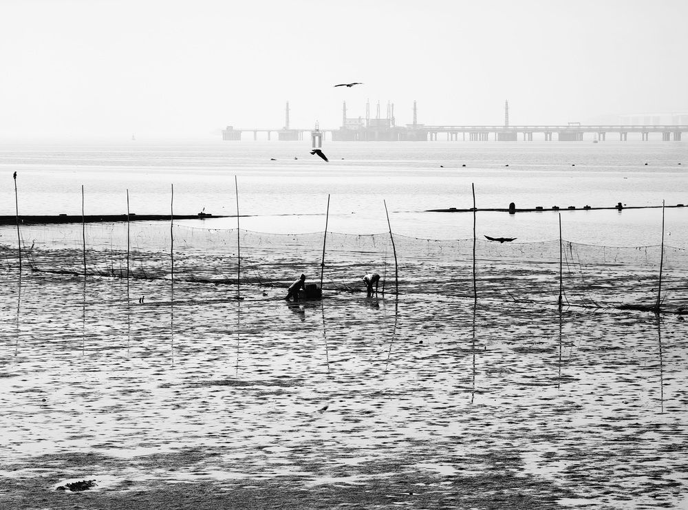 Photograph by Кристина Феминова