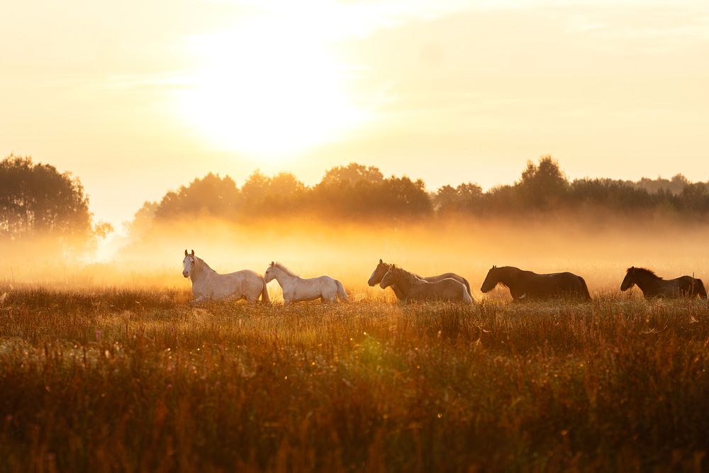 Photograph by Dominika