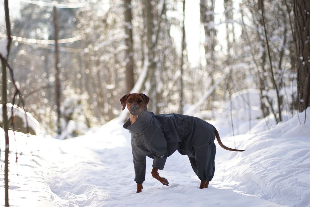Photo #13294963