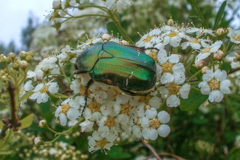 Photograph by Fantomas