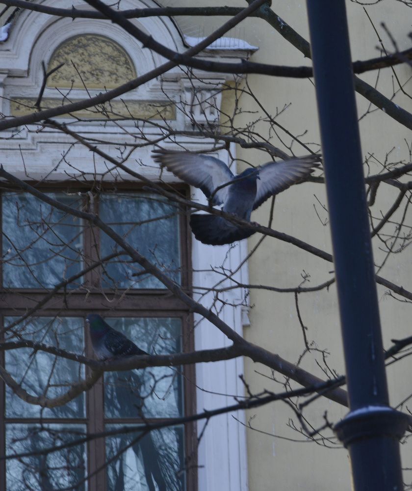 Photograph by Елена Курочкина