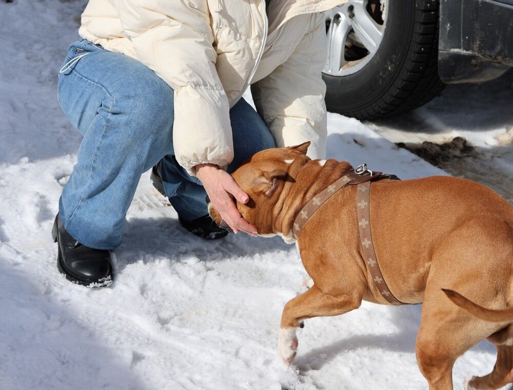 Photograph by Марина Красновид