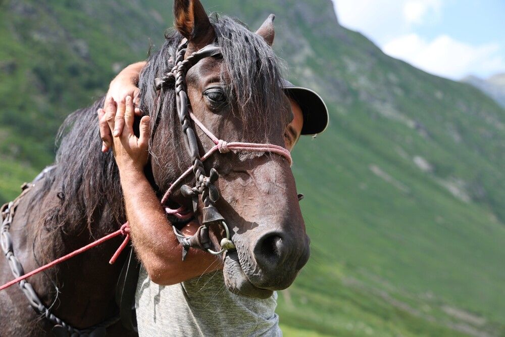 Photograph by Марина Красновид