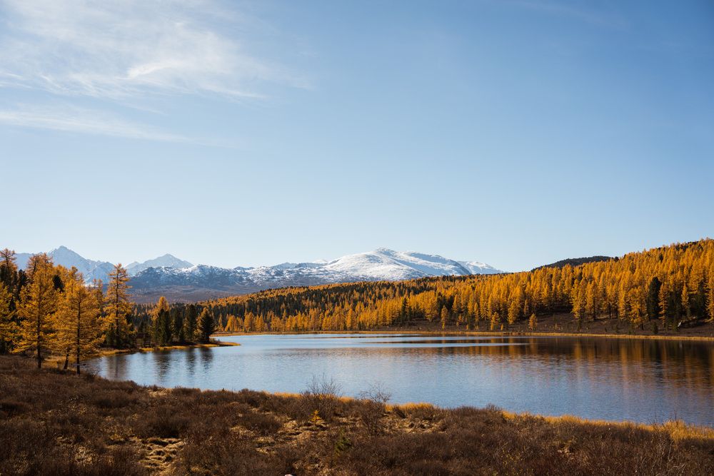 Photograph by Анна Полушина