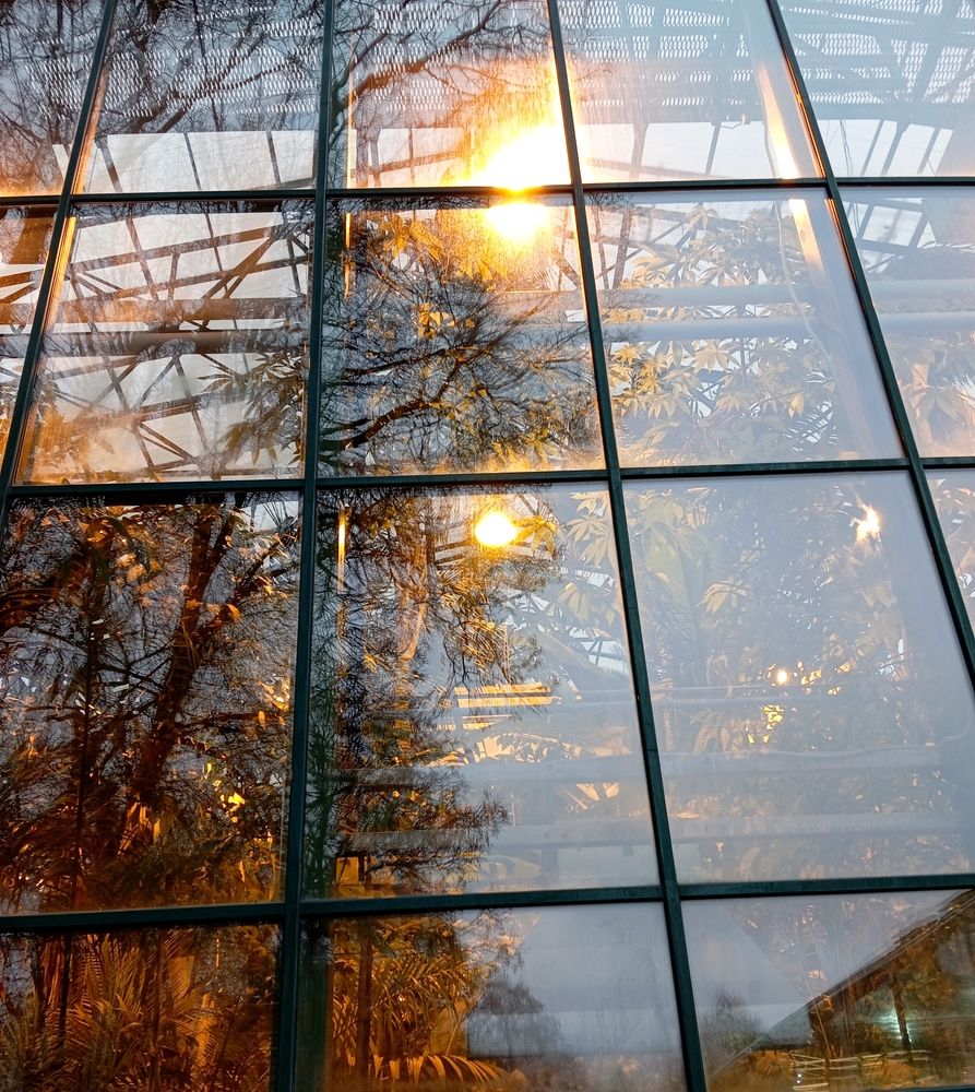 Photograph by Евгений Артемьев