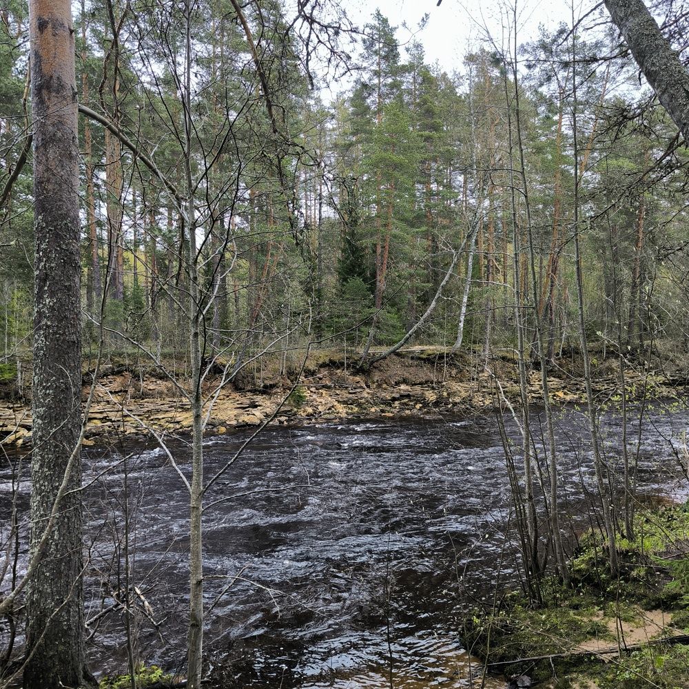 Photograph by Татьяна Бецкая