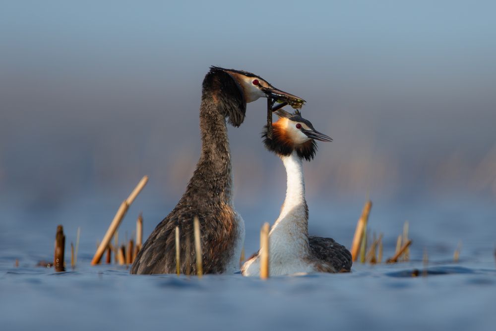 Photograph by Дмитрий Федорако