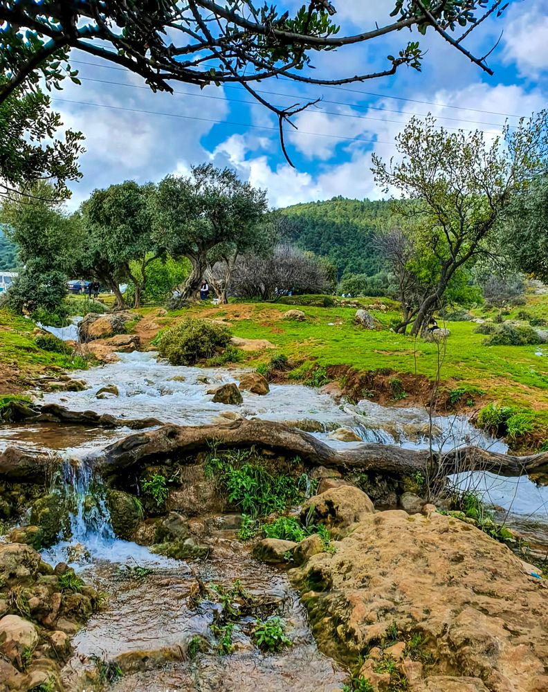 Photograph by Miller Galina