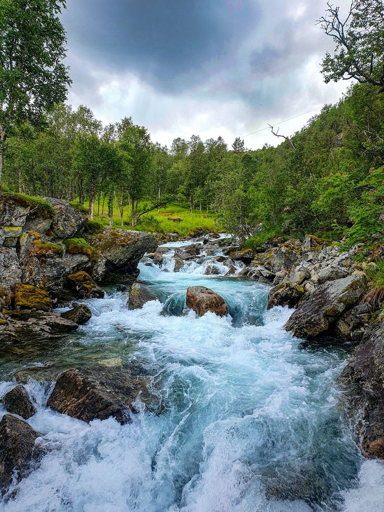 Жажда жизни.