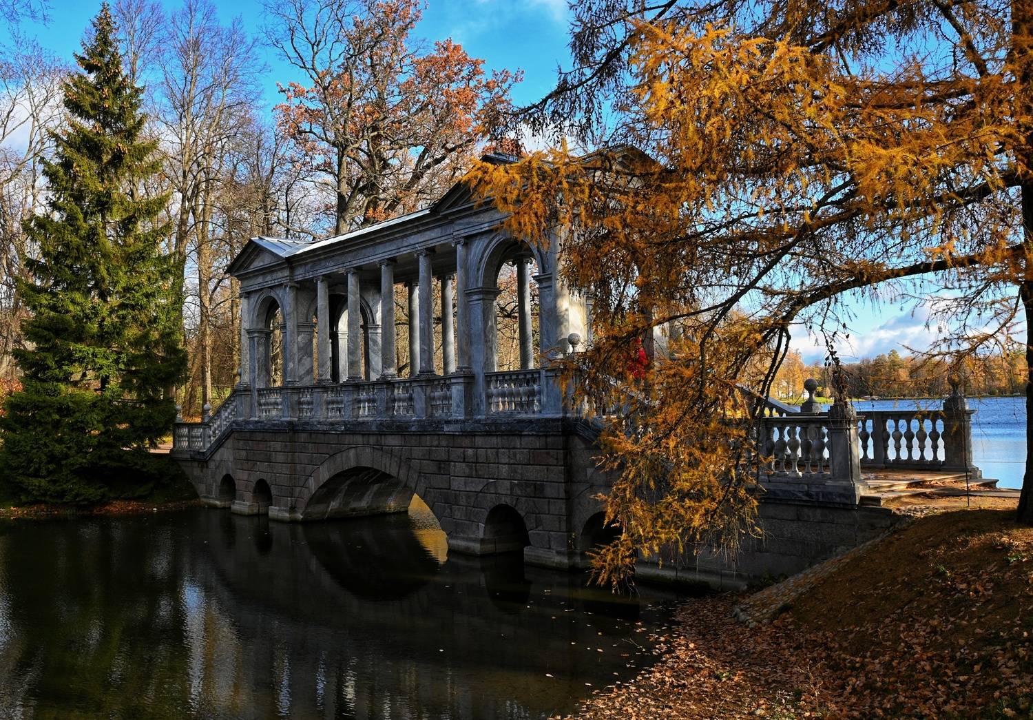 Фотография #13295189